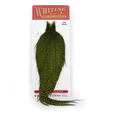 Whiting Pro Grade Cape Grizzly dyed Olive