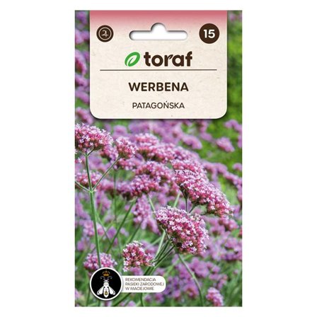 Frø af kæmpeverbena - Lang blomstrende staude, der tiltrækker bestøvere