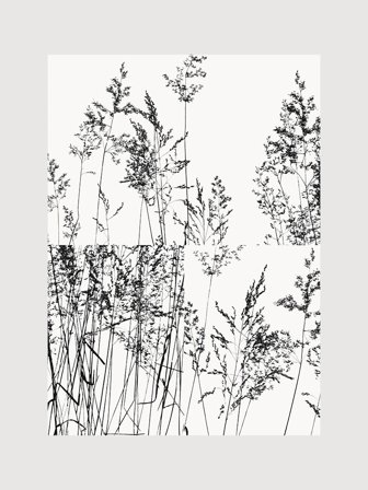 Poster med svartvitt kollage av växter, blommor & blad | Kunstary.com, 70x100 cm