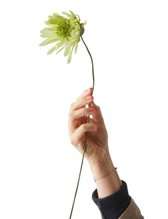 Studio About | Paper Flower | L:37.0CM