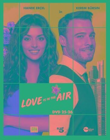 Love Is In The Air #13 (2 Dvd)