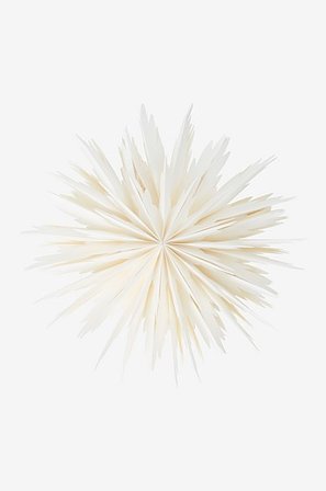 Jotex - BELLATRIX joulutähti ø 51 cm Valkoinen - Osta Valotähdet Jotex