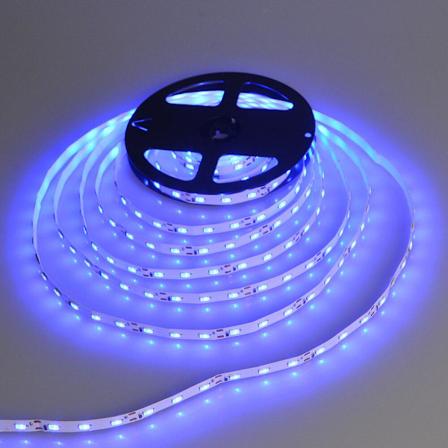 5M LED-nauhavalo Vedenkest v /Ei Vedenkest v Joustava LED-nauha 12v Koriste LED-valot Blue Waterproof