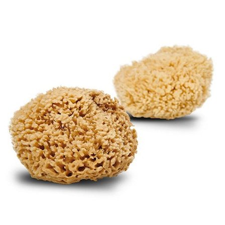 Cocoon Natursvamp Honey Wool, Skincare, Badetilbehør, Badesvampe