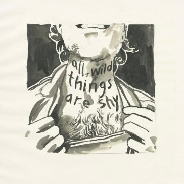 All wild things are shy RICHARD LAVIOLETTE