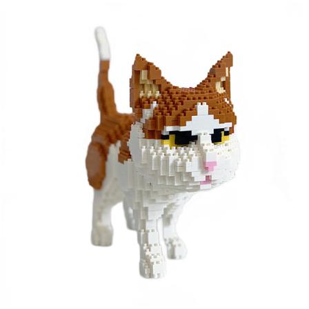 Perserkatt Gul Kattunge Djurställ Husdjur 3d-modell Diy Mini