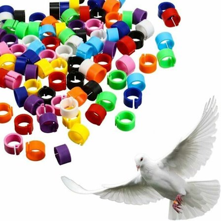 300 stk 8mm fuglefot ringer flerfarget plast duefot ringer klips på fot ringer, tilfeldig farge, Sunny
