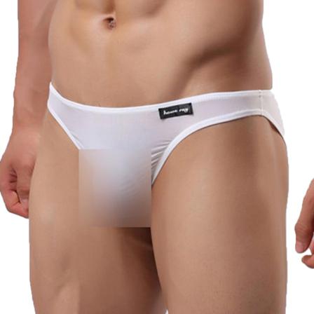 Män Mesh Brief Big Bulge Pouch Sexiga Låg Midja Underkläder Trosor
