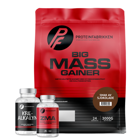 Big Mass Gainer, 3000 g + Bonusprodukt