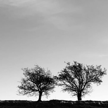 A heightened sense of everything Jon Allen