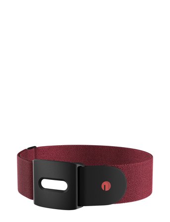 Polar Polar Verity Sense Armband - Red - M/XXL