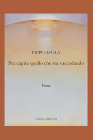 Per capire quello che sta succedendo Pippo Avola