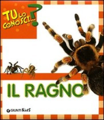 Il ragno. Ediz. illustrata Sara Reggiani
