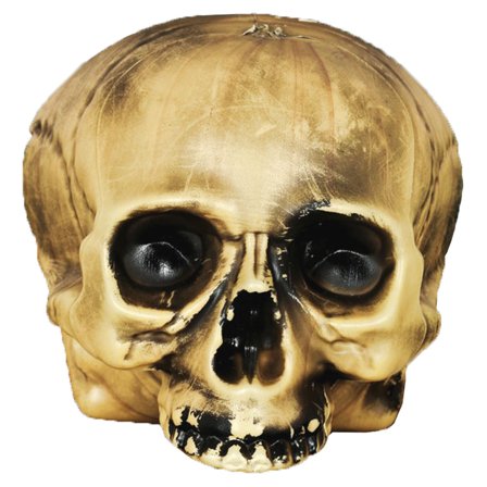 Dödskalle utan Haka Dekoration