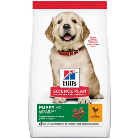 Hills Science Plan - Puppy Large Breed Chicken 14,5 kg - Hund - Hundefôr & hundemat - Tørrfôr for hund - ZOO.no