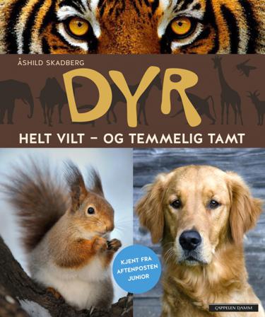 Dyr - Bok av Åshild Skadberg - Hardback