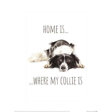 Louise Nisbet Home Is Border Collie Print 40cm x 30cm Vit/Svart