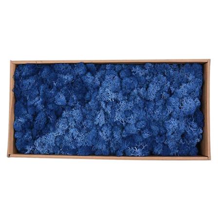 Naturlig torkad renmossa behandlad Immortal Moss Craft DIY Mörkblå blomdekor