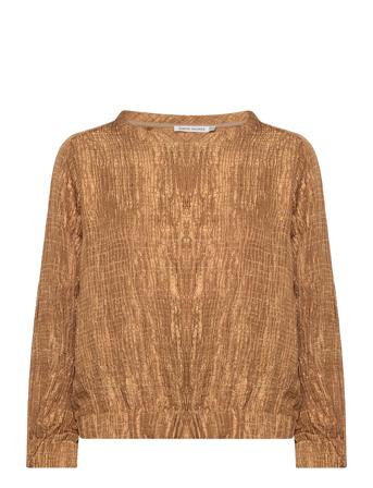 Alvi Brown Rabens Sal R