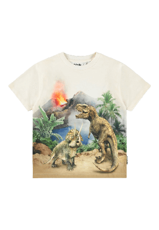 Molo Riley T-shirt T-shirts & toppar Herr Flerfärgad 122