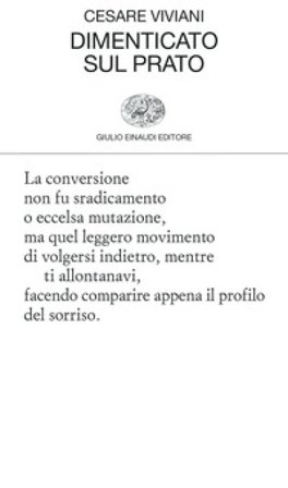 Dimenticato sul prato Cesare Viviani