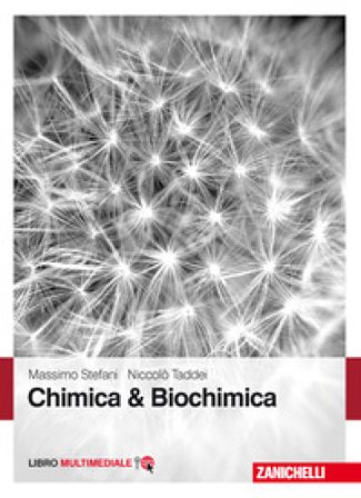 Chimica & biochimica. Con Contenuto digitale (fornito elettronicamente) Massimo Stefani