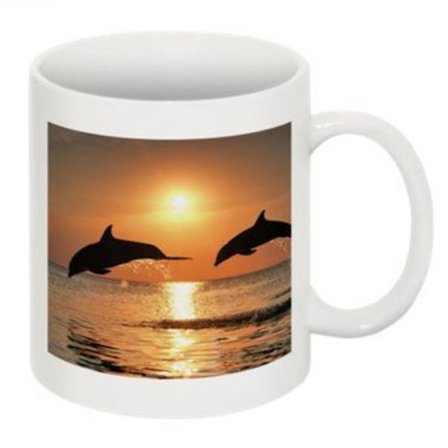 Mugg - Delfiner