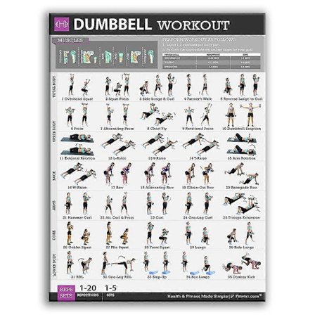 Lärande Hantel Träningsövning Poster Laminerad Fri Vikt Kroppsbyggnad