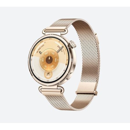 Uppkopplad klocka - HUAWEI - Watch GT6 - 41 mm - Guld