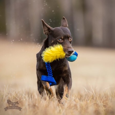 Doggie-Zen Elastisk Hundeleke med Fuskepels og KONG Ball - M/L