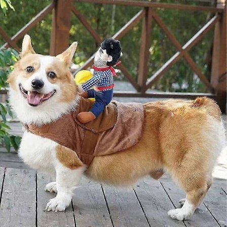 Hunde Halloween Kostyme Morsom Hunde Cowboy Ridekostyme Kjæledyr Kostyme Katte Dress Cowboy Rytter Stil for Små Medium Store Hunder