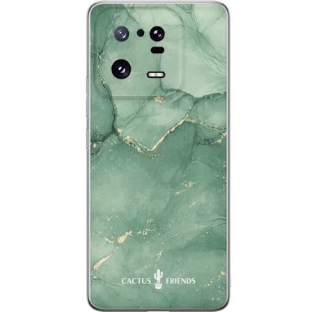 Yhteensopiva Puhelinkuori Xiaomi Xiaomi 13 Pro Cactus and Friends – JadeVeins