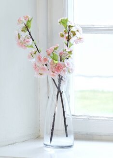 Konstväxt Körsbärsblom Rosa - Mr Plant