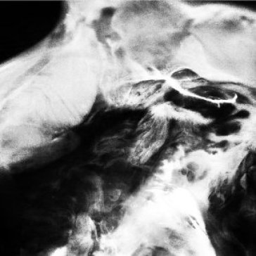 A new life Saffronkeira