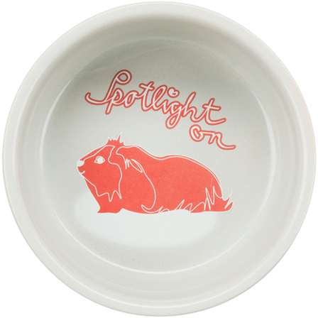 Trixie - Keramisk skål til marsvin 250 ml/ø11 cm - Smådyr - Matplass og vannflasker - Smådyrskåler og sandskåler - ZOO.no