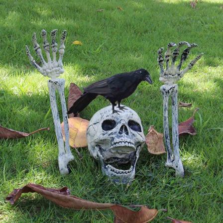 Dödskallehög Och Kråkgräsdekor Halloween Dödskalleprydnad