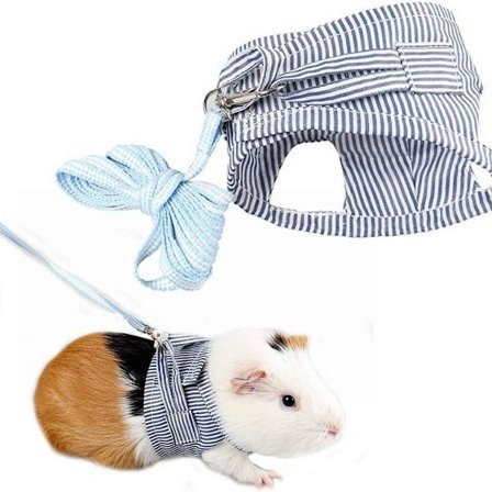 Marsvinsele og bånd Mykt lite sele til smådyr med bånd,