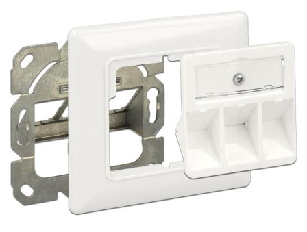 Delock Keystone Wall Outlet - overflatemonteringsboks for nettverk