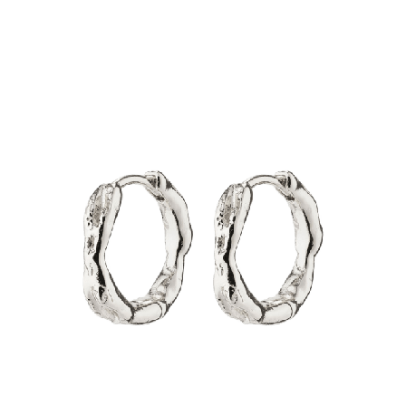 Pilgrim Eddy Earrings Smycken & klockor Dam Silver ONESIZE