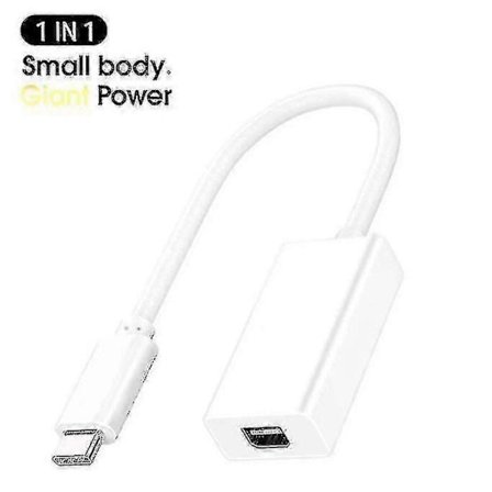 Højhastigheds Thunderbolt 2-konverter til USB-C-porte - HK707