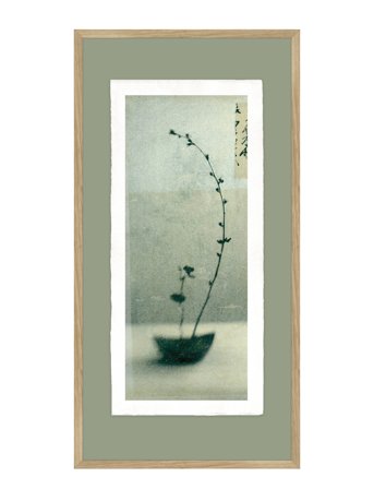 Incado Artist Paper - Growing - Multi/patterned - 52X102CM x 102