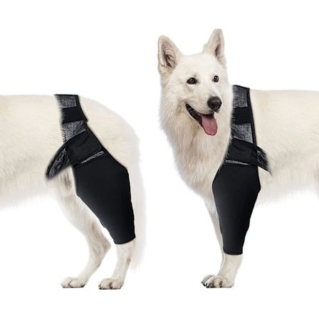 Hund albue støtte, hund kompresjon kne støtte, albue og skulder S