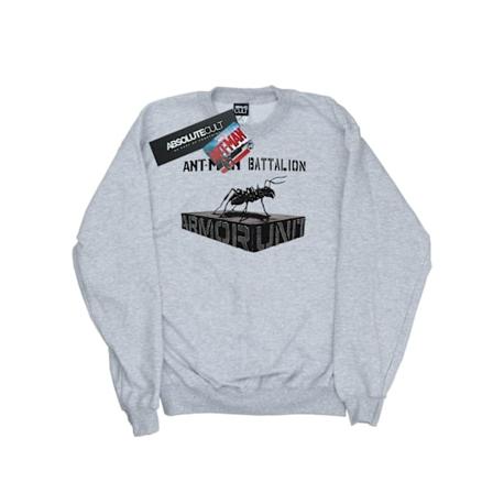Marvel Girls Ant-Man Bataljon Sweatshirt 9-11 år Sports Grey Sports Grey 9-11 Years