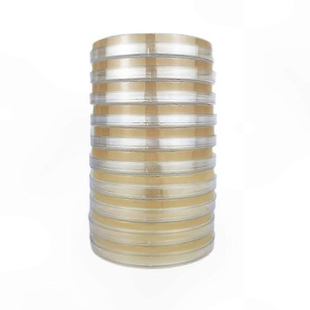 Agarplater for soppdyrking for hjemmelabtesting og vitenskapsprosjekter - 10-pakning