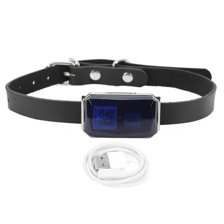 G12 GPS Locator Smart Trådløs Sporing Anti Tabt Bærbar Locator IP67 Vandtæt Positioneringsenhed til Hunde Katte Kæledyr