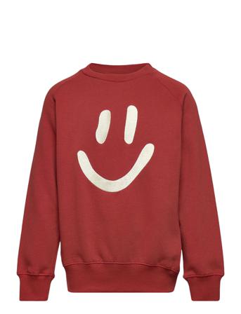 Mike Sweat-shirt Genser Rød Molo