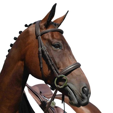 Collegiate Syntovia+ Vadderad Cavesson Bridle Full Brun