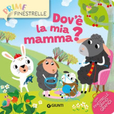Dov'è la mia mamma? Silvia D'Achille