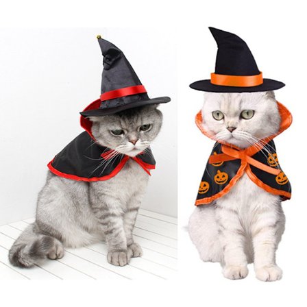 2-delt katter Halloween-kostyme Kjæledyr Halloween-kostymer for