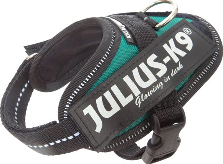Julius-K9 Idc Harness Baby 1 Dog Harnesses & Dog Collars Green Baby 1